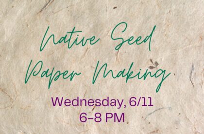 Seed Paper Making