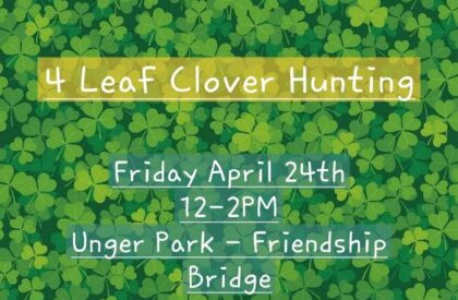 Four Leaf Clover Hunt 🍀
