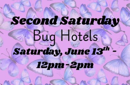 Second Saturday – Bug Hotels