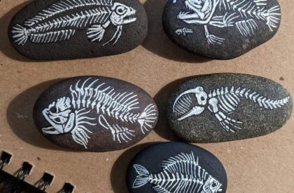 Creation Station – Fossil Rocks